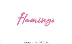 word flamingo - Google Search