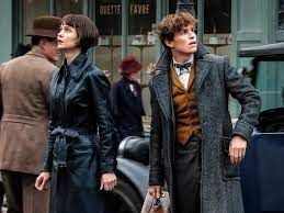 fantastic beasts and where to find them tina - Google Search