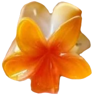 orange hibiscus flower hair claw clips
