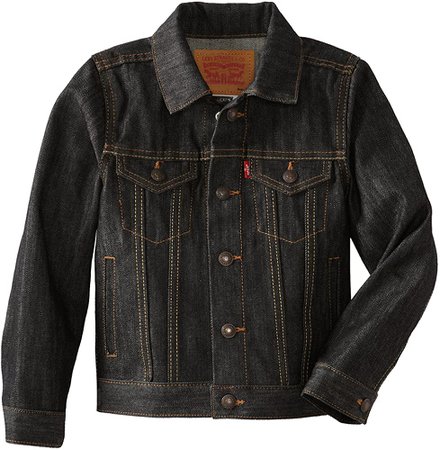 Amazon.com: Levi's Boys' Little Denim Trucker Jacket, Legendary/Sherpa, 5: Clothing