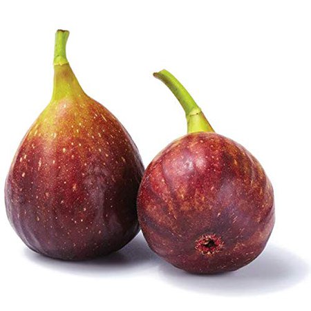 figs png - Google Search
