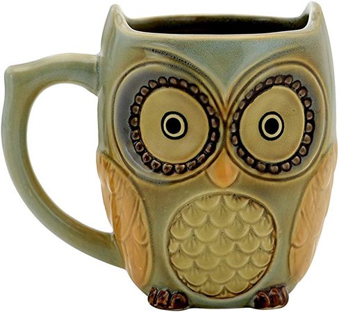Teagas Cute Owl Mug Cup - Cyan Cute Owl Morning Coffee Ceramic Mug: Amazon.ca: Home & Kitchen