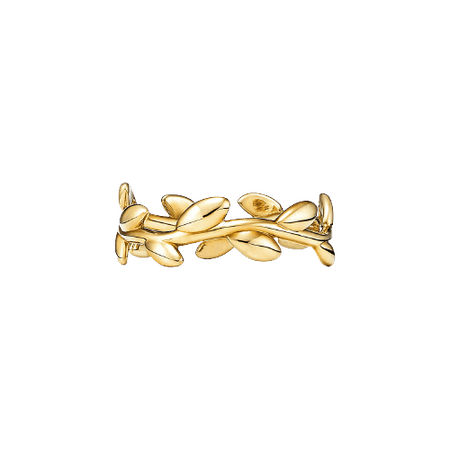 Paloma Picasso® Olive Leaf Band Ring in Yellow Gold
