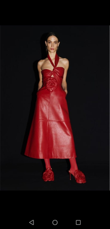 Magda red dress