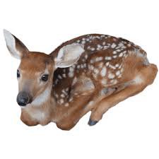 deer transparent background - Google Search