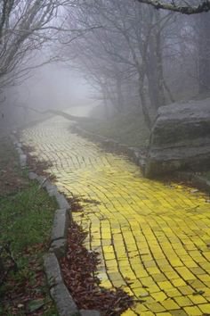 road yellow brick