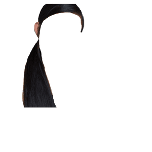 black hair png ponytail