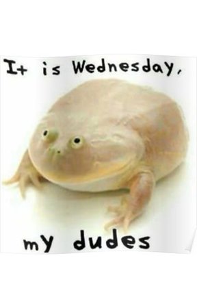 it’s wednesday my dudes frog