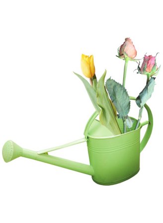 green watering can flowers png filler
