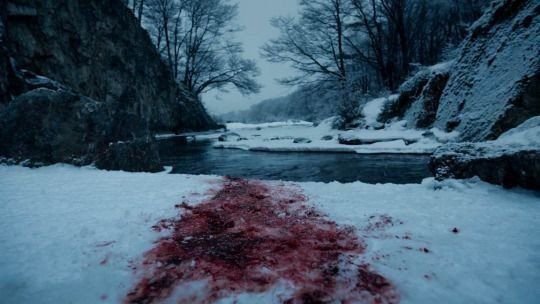 blood and snow