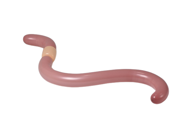 balloon worm