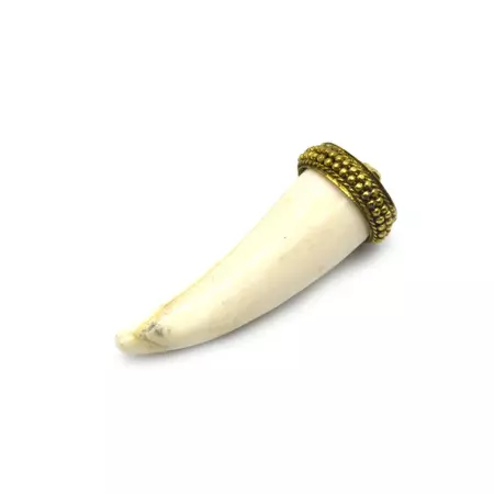 Bone Pendant | Small Tusk/Claw Shaped Natural Ox Bone Pendant | Bone C – Only Beads