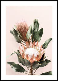 Pink Wall palms Poster - Palme Poster - Posterstore.de