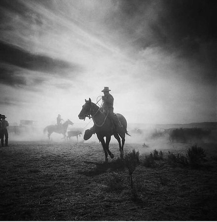 cowboy and horse B&W ranch