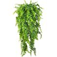 Amazon.com: Artificial Plants Vines Ferns Persian Rattan Fake Hanging Plant Faux Hanging Boston Fern Flowers Vine Outdoor UV Resistant Plastic Plants for Wall Indoor Hanging Baskets Wedding Garland Decor-2 pcs : Home & Kitchen