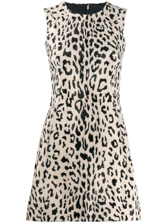 Dolce & Gabbana Animal Print Flared Mini Dress