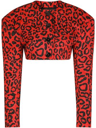 Dolce & Gabbana Cropped leopard-print Blazer - Farfetch
