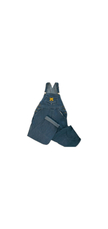 winnie the pooh overalls