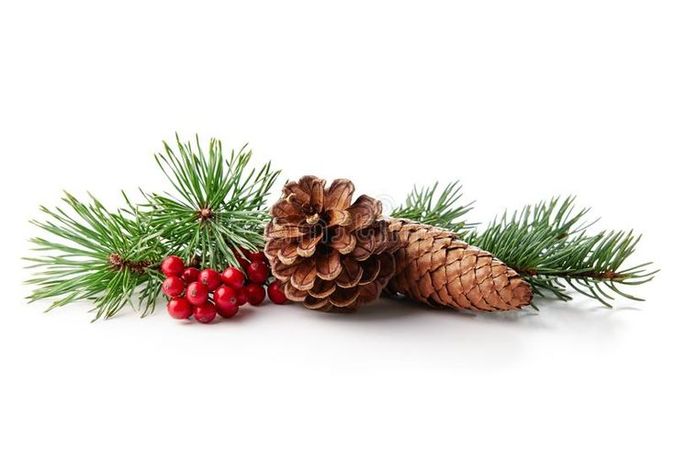christmas decorations png - Google Search