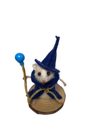 Taxidermy Magician Sorcerer Mouse
