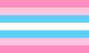 trans woman flag - Google Search