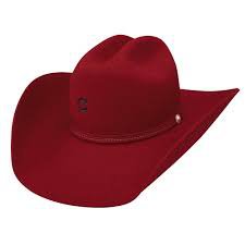 Google Image Result for https://www.capehut.com/3951-home_default/women-s-straw-cowboy-hat-red-black-c9180un298q.jpg