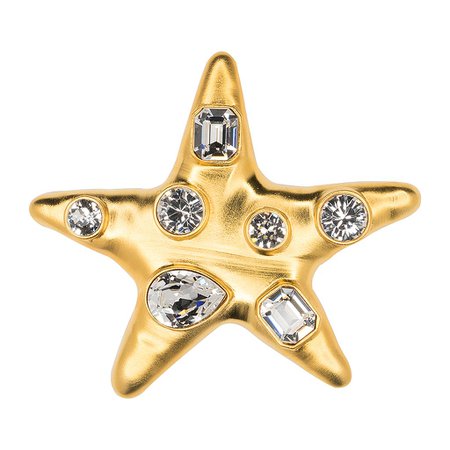 Satin Gold Crystal Star Brooch – KennethJayLane.com
