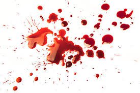 blood spill - Google Search