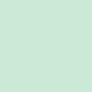 Mint green background