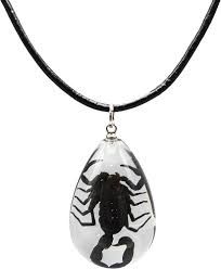 beetle scorpio necklace - Google Search