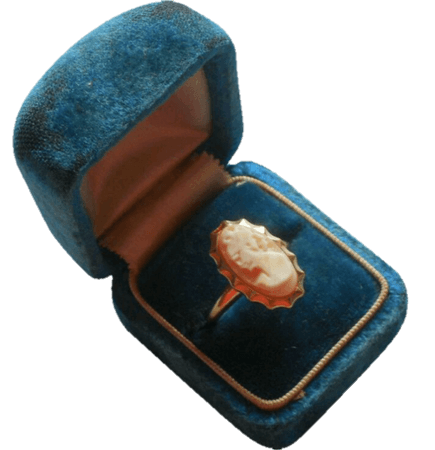 blue ring case and ring