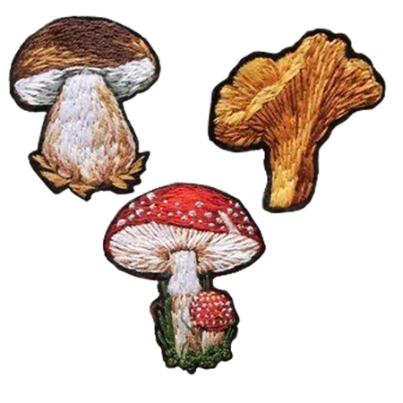 mushroom patches