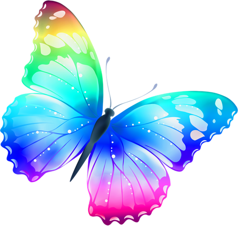 Color Butterfly PNG
