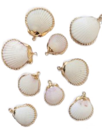 Clam and Clasp Seashell Pendants