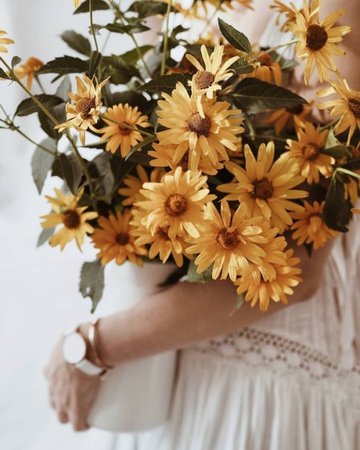 Flowers | Tumblr