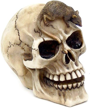 Realistic Witch Skull with Mouse Figurine: Amazon.ca: Home & Kitchen