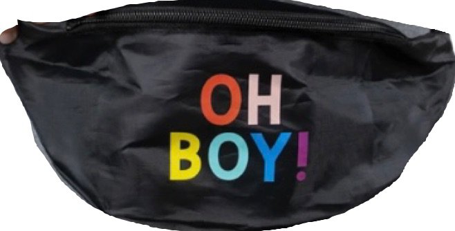 lost bros oh boy fanny pack