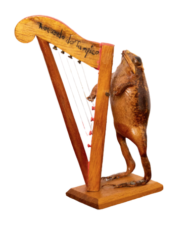 taxidermy frog with harp