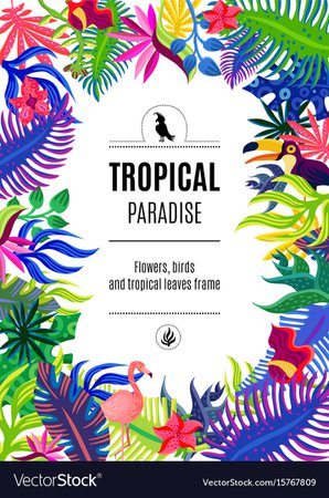Tropical paradise frame background poster Vector Image