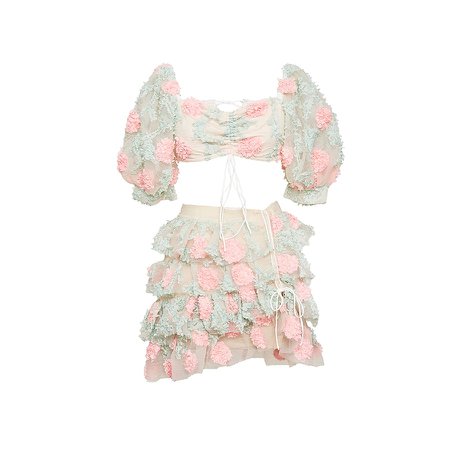 nude & pink mesh embroidered floral crop top & skirt co ord