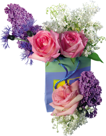 FLOWERS - png