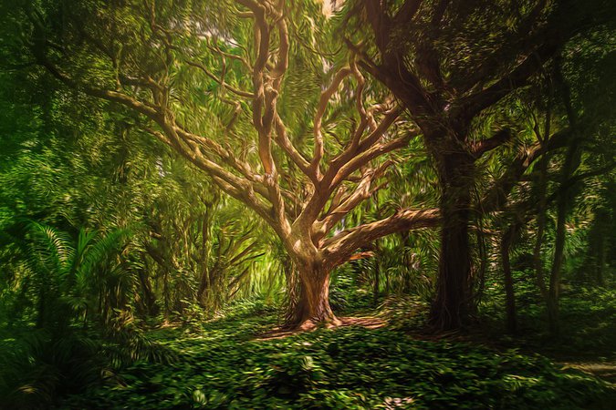 Mystical-Trees-Digital-Art-Forest-Background-3390802.jpg (960×640)