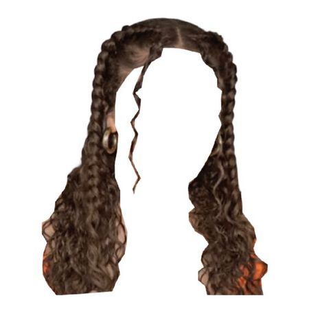 brown black curly hair braids braided hairstyle