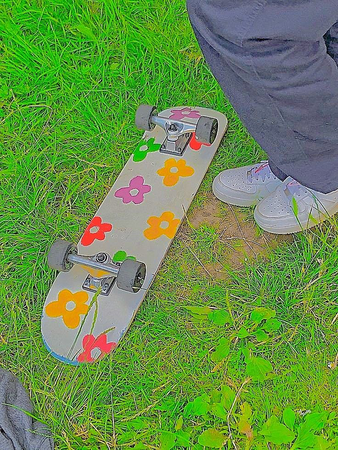 indie skateboard