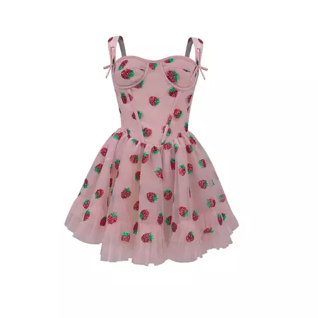 Corset Strawberry Mini Dress – Lirika Matoshi