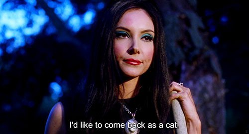 immotion | ‘I’d like to come back as a cat!’ The love witch |...
