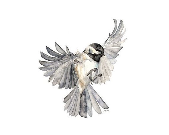 Image result for clip art bird flying chickadee | Watercolor bird, Bird prints, Birds in flight