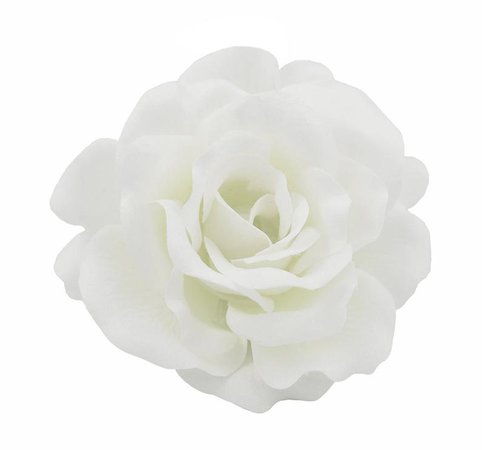 White Rose Hair Clip