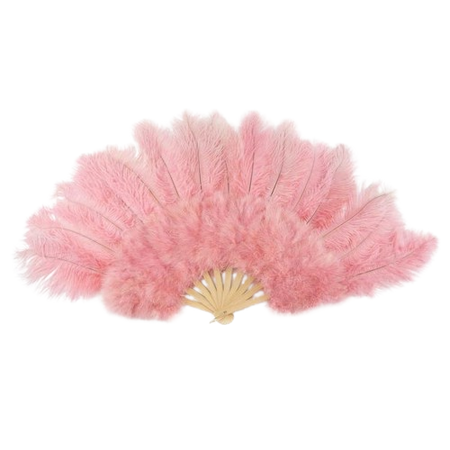 Burlesque Pink Feather Fan:Google Search:KlosetKouture