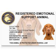 emotional support pet - Google Search